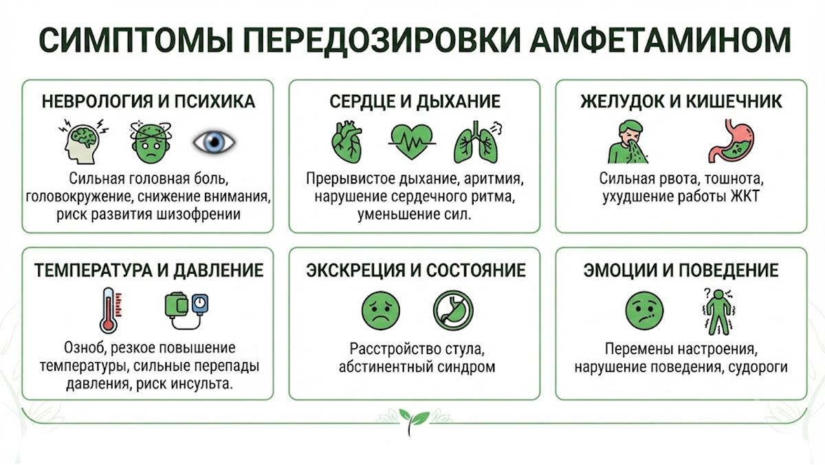 Инфографика: клинические симптомы передозировки амфетамином.